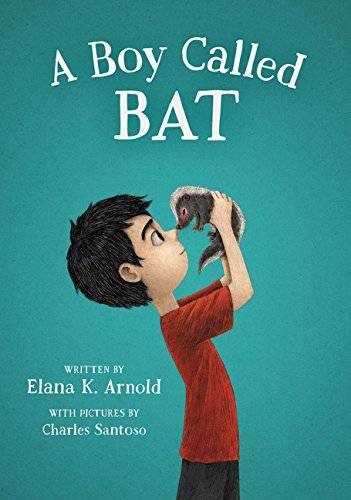 boy-called-bat
