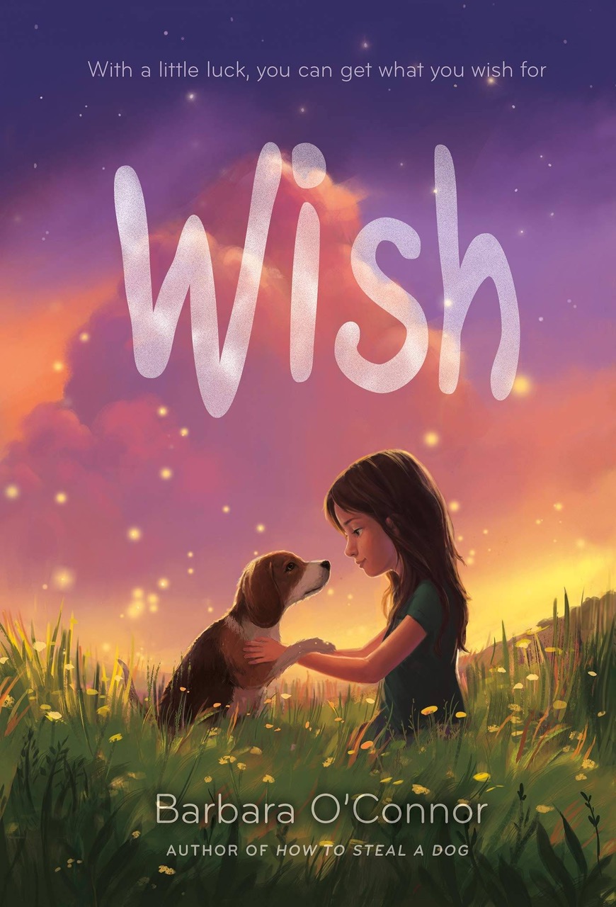 image of a book cover of "Wish"